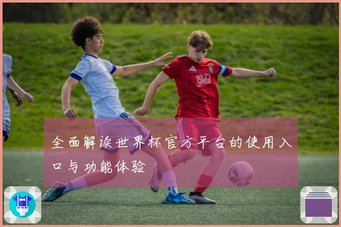 全面解读世界杯官方平台的使用入口与功能体验