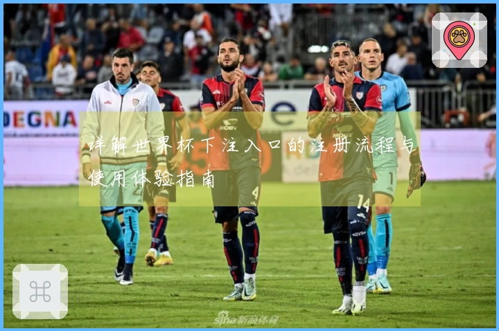 详解世界杯下注入口的注册流程与使用体验指南