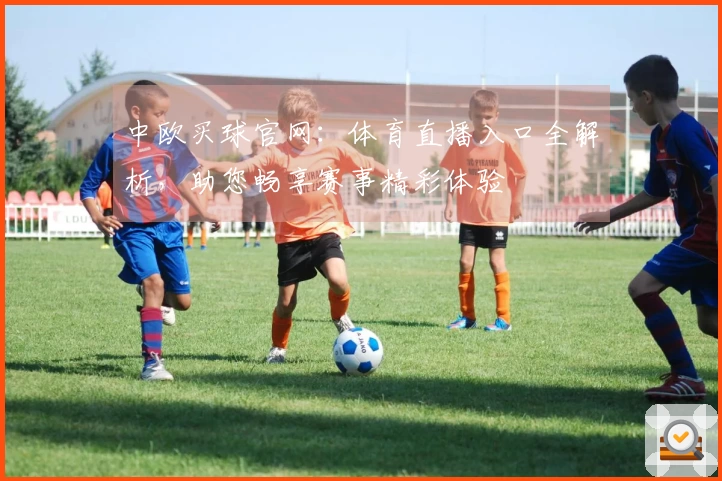 中欧买球官网：体育直播入口全解析，助您畅享赛事精彩体验